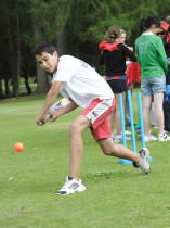 Уроки крикета