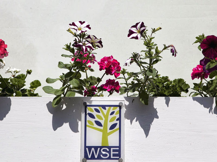 Wimbledon School of English