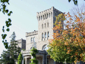 Manhattanville College