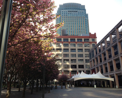 Polytechnic Institute of New York University