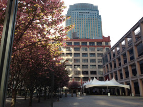 Polytechnic Institute of New York University