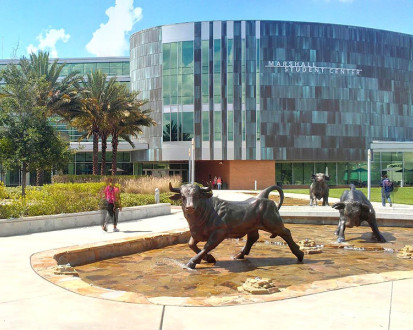 University of South Florida