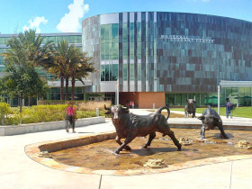 University of South Florida