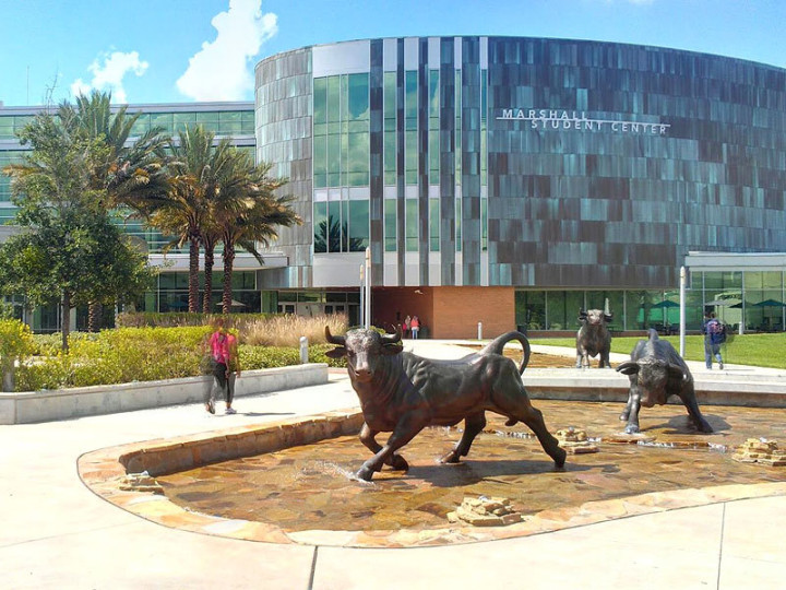 University of South Florida