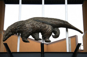 University of California