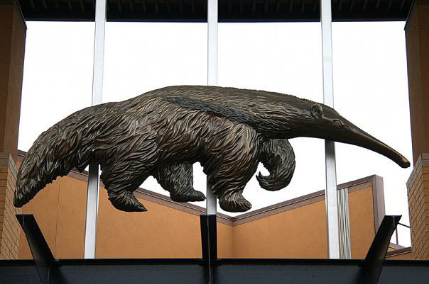 University of California