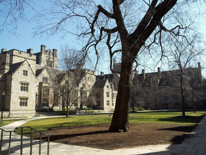 Yale University