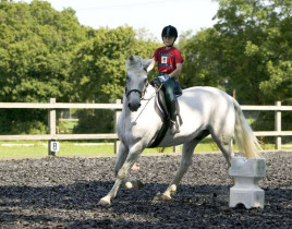 Уроки верховой езды