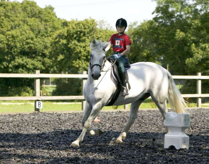 Уроки верховой езды