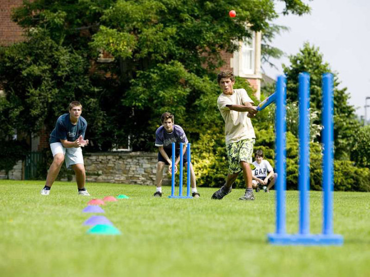 Игра в крикет