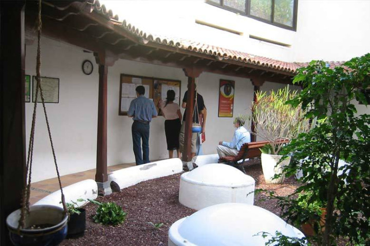 Языковая школа Don Quijote на Тенерифе