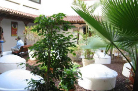 Языковая школа Don Quijote на Тенерифе