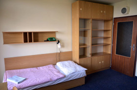 Институт языковой и профессиональной подготовки Карлова университета в Праге