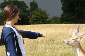 Летняя школа Thames Valley Sevenoaks