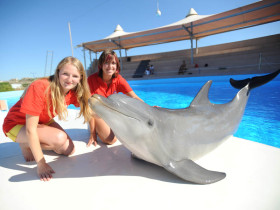 Студенты IELS Malta Young Learner centre на экскурсии в дельфинарий