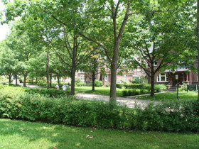 Территория школы CISS St. Michael's College