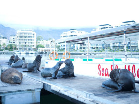 Набережная Кейптауна