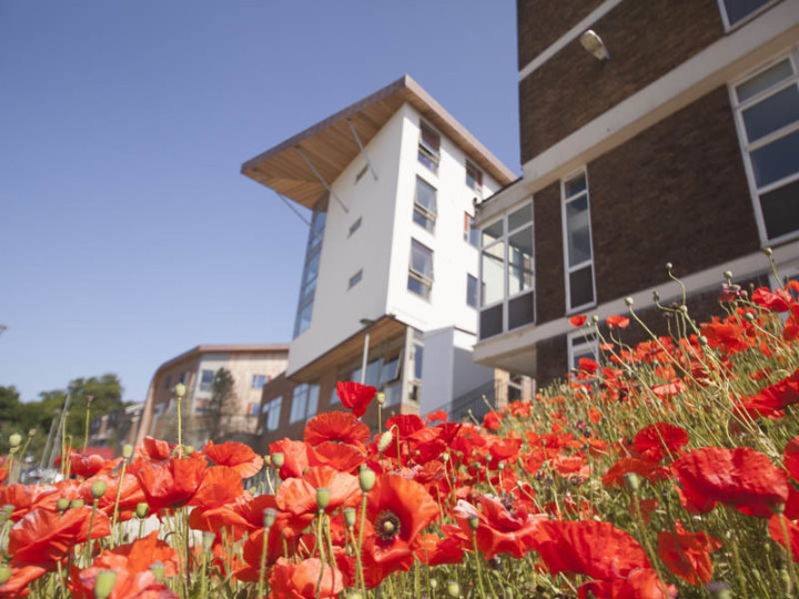 Здание школы EC Brighton