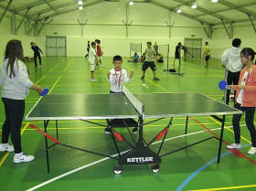 Игры в настольный теннис в Concord College