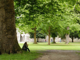 Территория Discovery Summer Winchester College