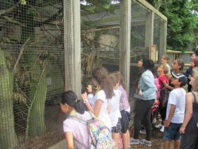 Студенты Heathfield International Summer School в зоопарке