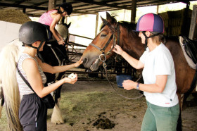 В конюшне Embassy Academy Warminster School