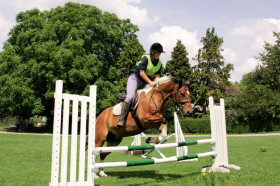 Конный спорт