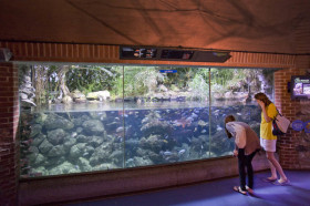 Студенты Embassy Academy Warminster School на экскурсии в аквариум