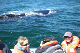 Водная прогулка