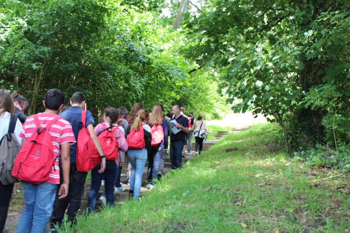 Atlas Language School_Killiney