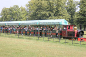 Прогулка на паровозике