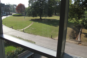 Вид из окна