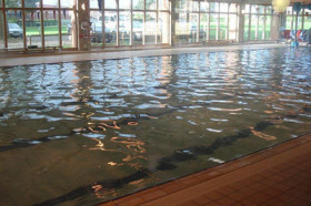 Бассейн в Taunton School International