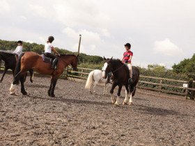 Студенты Village Camps занимаются конным спортом