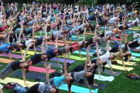 Студенты EC New York занимаются фитнесом