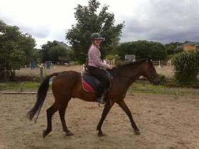 Студенты Goethe-Institut Berlin Young Adults занимаются конным спортом