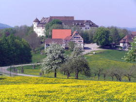 Замок Хоэнфельс