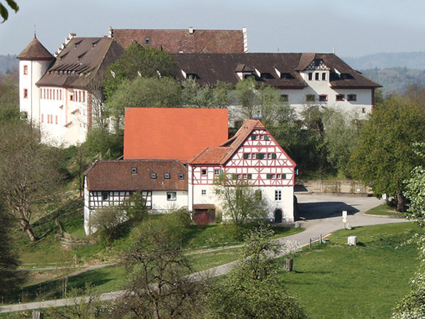 Замок Хоэнфельс