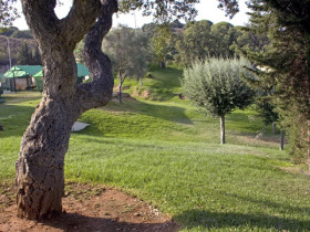 Территория Enfocamp Marbella Alborán