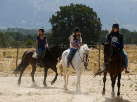 Суденты Vive la ene занимаются конным спортом
