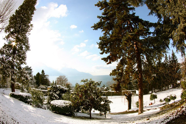 Территория Institut Monte Rosa