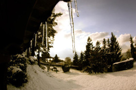 Территория Institut Monte Rosa