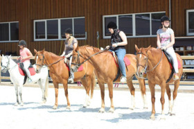 Студенты Institut Monte Rosa занимаются конным спортом