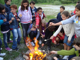 Пикник на природе