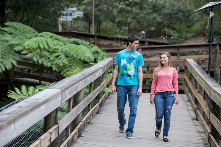 Прогулка по городу