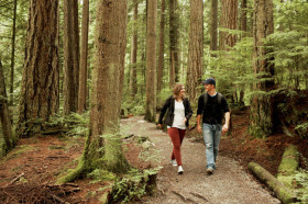 Прогулка по лесу