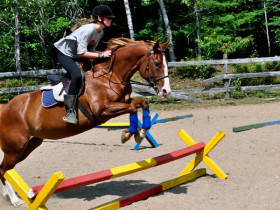 Студенты Onondaga Camp занимаются конным спортом