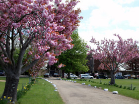 Территория Buckswood School