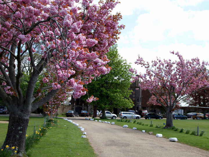 Территория Buckswood School