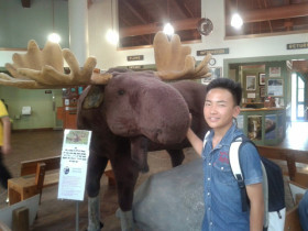 На экскурсии в музее